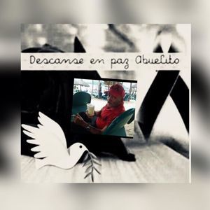 Meet your Posher, Griselda